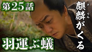 [麒麟がくる] 第25回 解説 | 羽運ぶ蟻(あり) を見て、足利義昭が立ち上がる！？【感想・考察など】