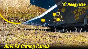 AirFLEX Demo | Canola | New Holland & Case IH | Manitoba