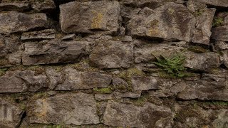 Photorealistic wall 3d model, Unreal Engine 5.3