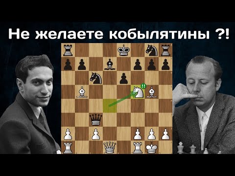 Михаил Таль угостил Вольфганга 2-я пешками, конем и слоном!  Шахматы