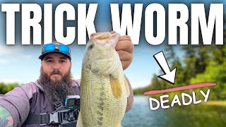 This is My New Favorite Way To Catch Bass!