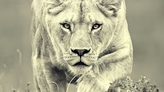 Leo No longer in head about coming or going toward someone Past is gone future is here