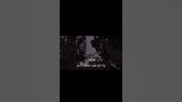 ﴿هَا أَنتُمْ أُولَاءِ تُحِبُّونَهُمْ وَلَا يُحِبُّونَكُمْ﴾[ آل عمران:119] القارئ:ياسر الدوسري