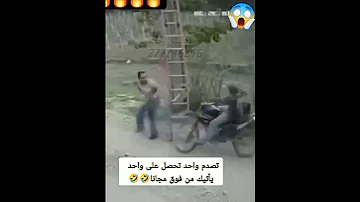 تصدم واحد تحصل على واحد ياتيك من فوق مجانا حالات واتساب حالات واتس اب 