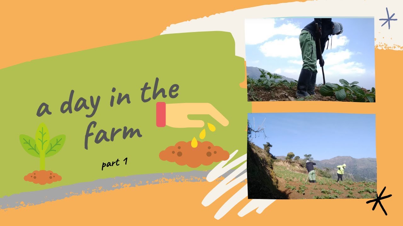 A DAY IN THE FARM  (part 2) | My Fuel in life