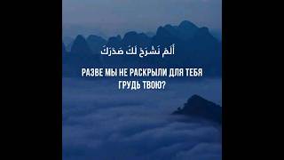 Сура 94 "Аш-Шарх". Мухаммад Люхайдан