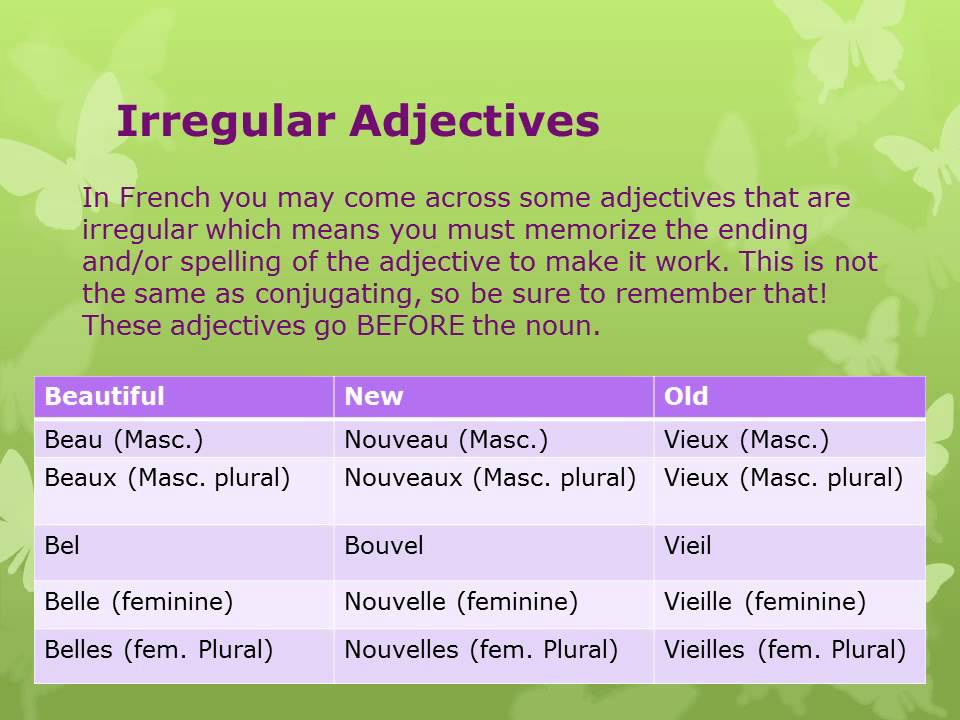 Irregular Adjectives French Worksheet
