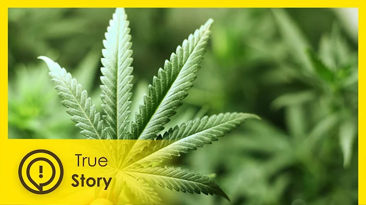 Cannabis to Save My Life - True Story Documentary ...