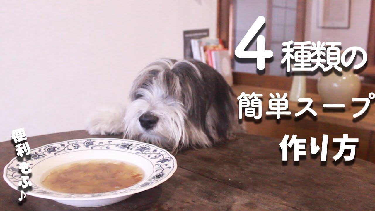 犬ご飯手作りレシピ ４種類のスープの作り方 もふ飯 Youtube