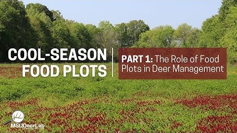 Cool Season Food Plots Part1