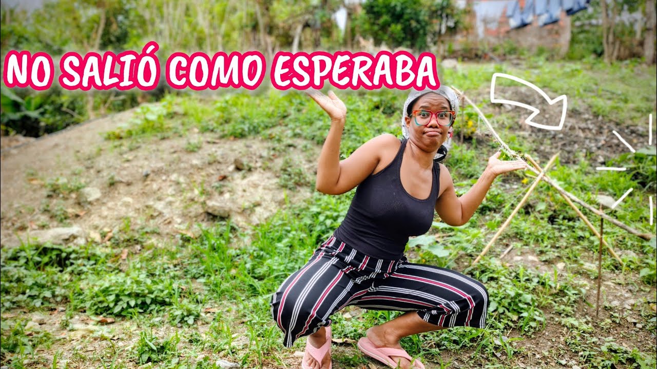 🌷 TENEMOS PROBLEMAS CON EL PEPINO 🥒 UNA RICA CHICHA 😋