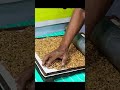 Peanut candy making  kappalandi mittayi  peanut chikki shorts trending candy