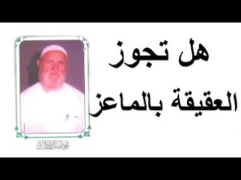 الشيخ الألباني هل تجوز العقيقة بالماعز