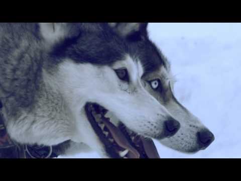 Casper - Auf und davon (official music video)