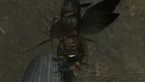 You CAN stickybomb your own stalker beetle