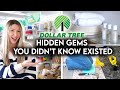 10 DOLLAR TREE HIDDEN GEMS YOU DIDN’T KNOW EXISTED | HOME + ORGANIZATION