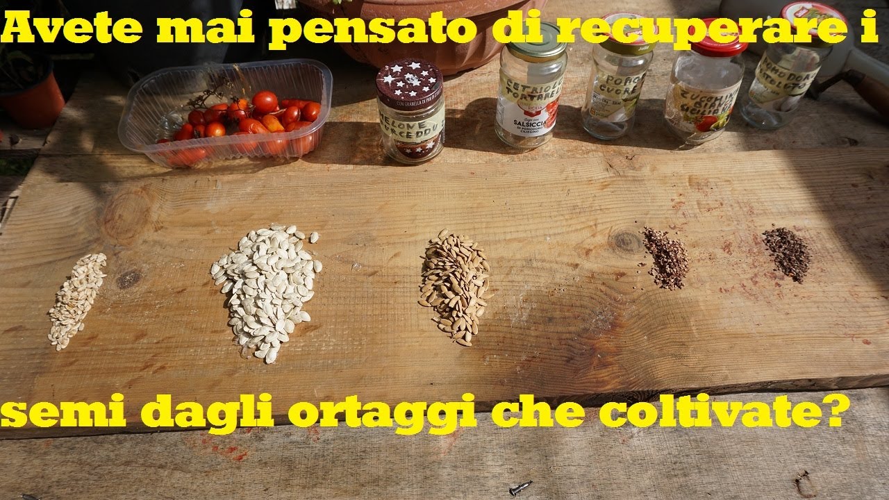 Raccogliere e conservare i semi di ortaggi per gli anni successivi