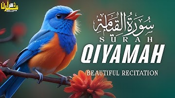 Surah Al-Qiyamah سورة القيامة | This Magical Voice Will TOUCH Your HEART إن شاء الله | Zikr E Quran