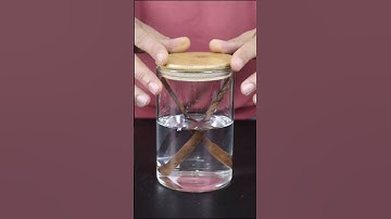 Rust Removal, Vinegar Magic #shorts