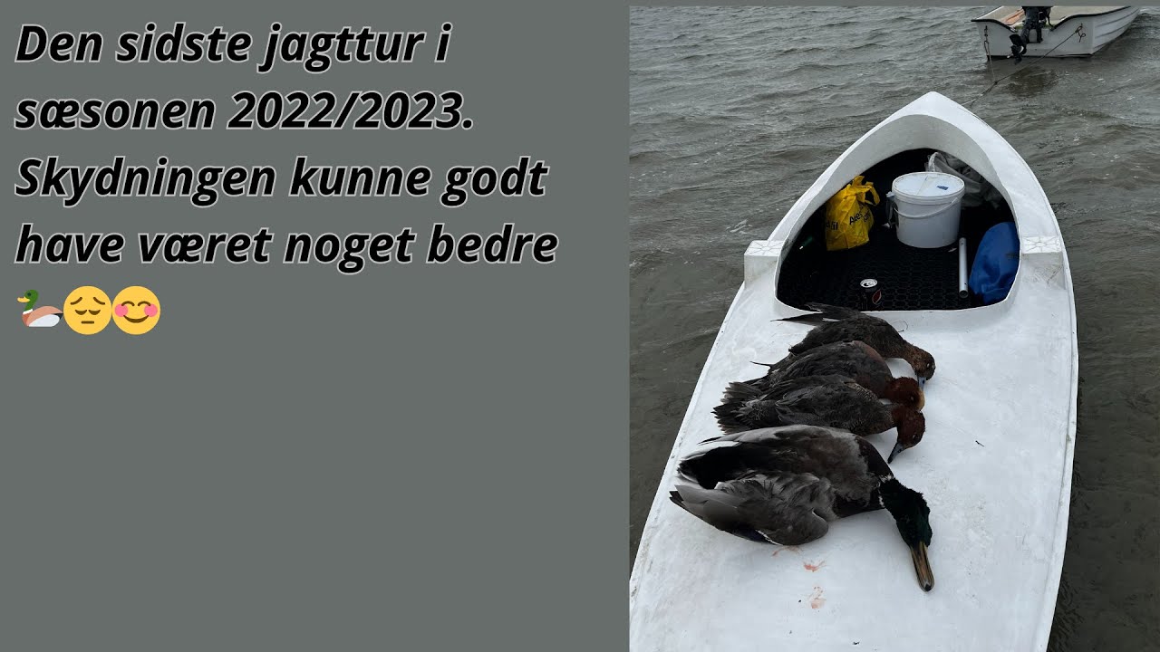 strandjagt-29-01-2023-youtube