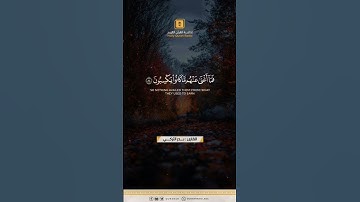 بدر التركي - تلاوة هادئة 😔
