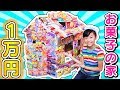 【大量】1万円分のお菓子でお菓子の家つくってみた!?ダンボールハウスを大量のお菓子でデコ!〜みるきっずくらぶ・さおりん〜【工作】