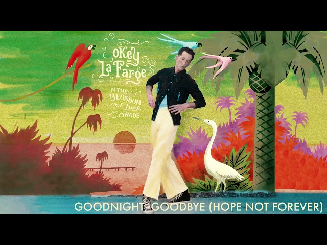 Pokey LaFarge - Goodnight  Goodbye