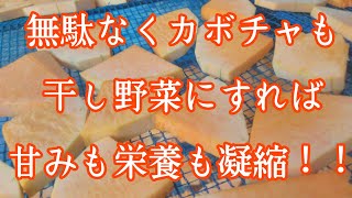 【たねとりYouTuber】かぼちゃの生干しを作る