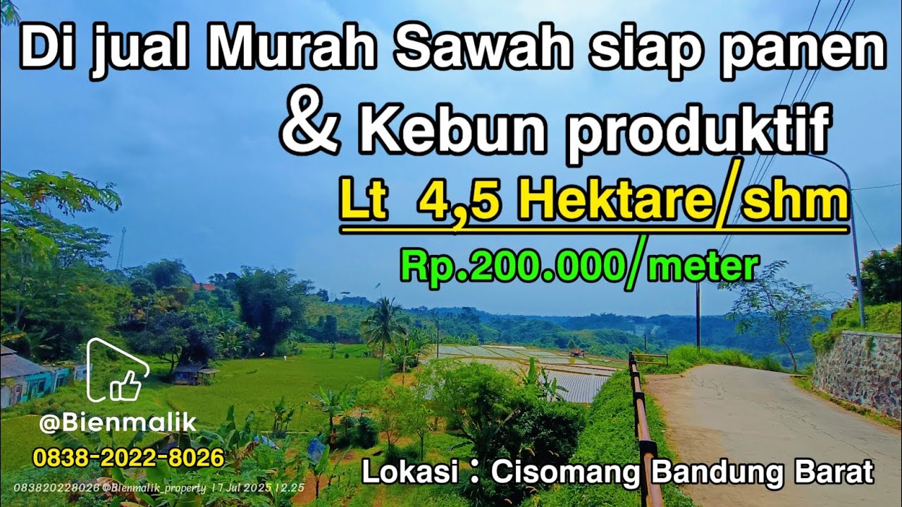🌾 Dijual Tanah Sawah Murah Siap Panen & Kebun Produktif – Lokasi Strategis! lt 4,5 Hektar/shm🌾