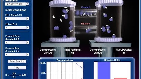 Equilibrium Simulation