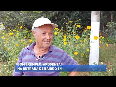 Aposentado faz jardim em entrada de bairro