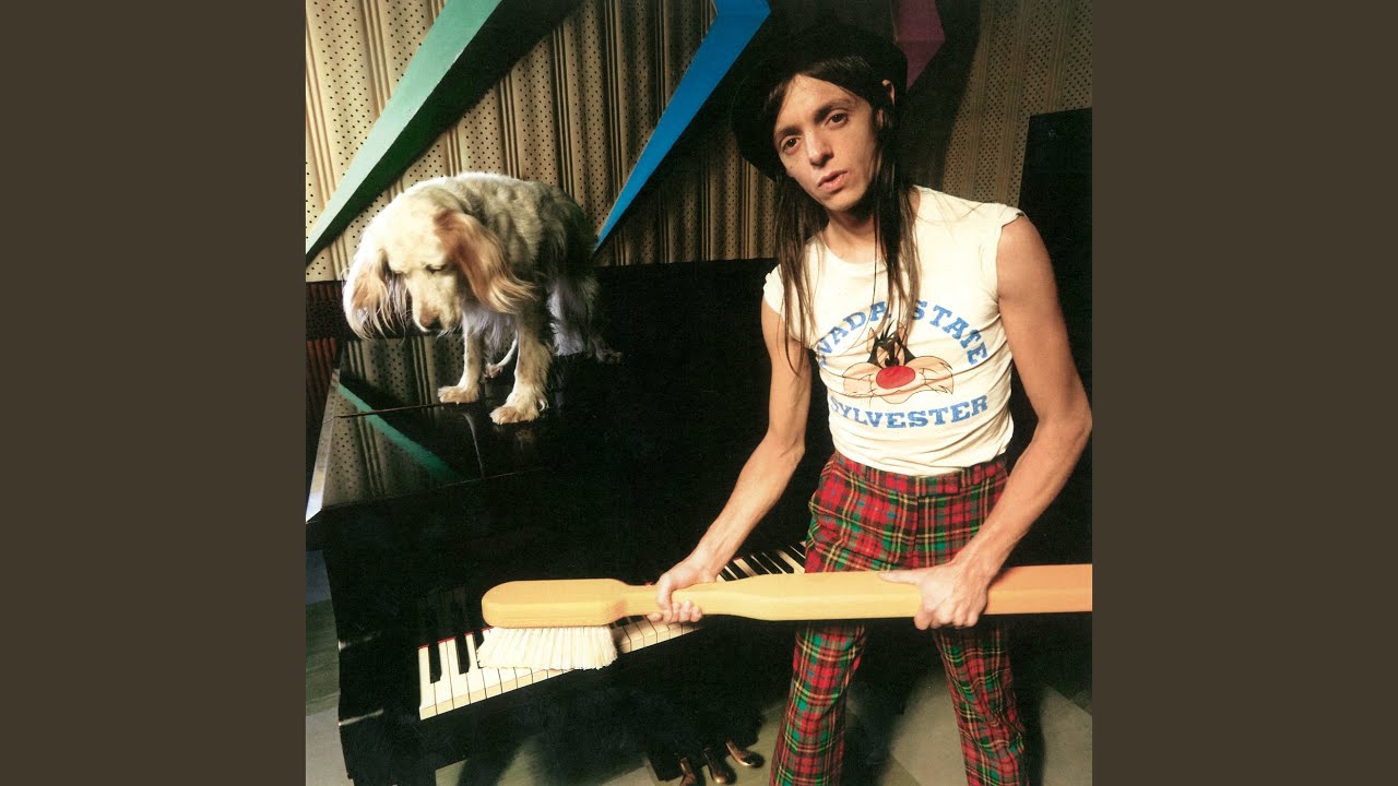 ▷ Skechers: scarpe sportive con Memory Foam | PittaRosso, image size:1280x720