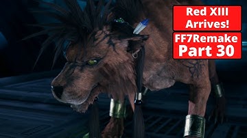 Shinra HQ Floor 64:  Red XIII!  Let