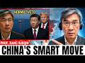 Why China’s Veto on the Hormuz Resolution Is the Smartest Strategic Move of the Entire War |P.jiang
