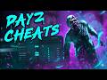O HACK MAIS APELATIVO DO DAYZ EM 2026! 🏆 LOOT ATRAVÉS DA PAREDE/AIMBOT SILENT/WALLHACKER