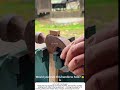 Replacing a Hammer Handle – Tight Fit &amp; Wooden Wedge 🔨