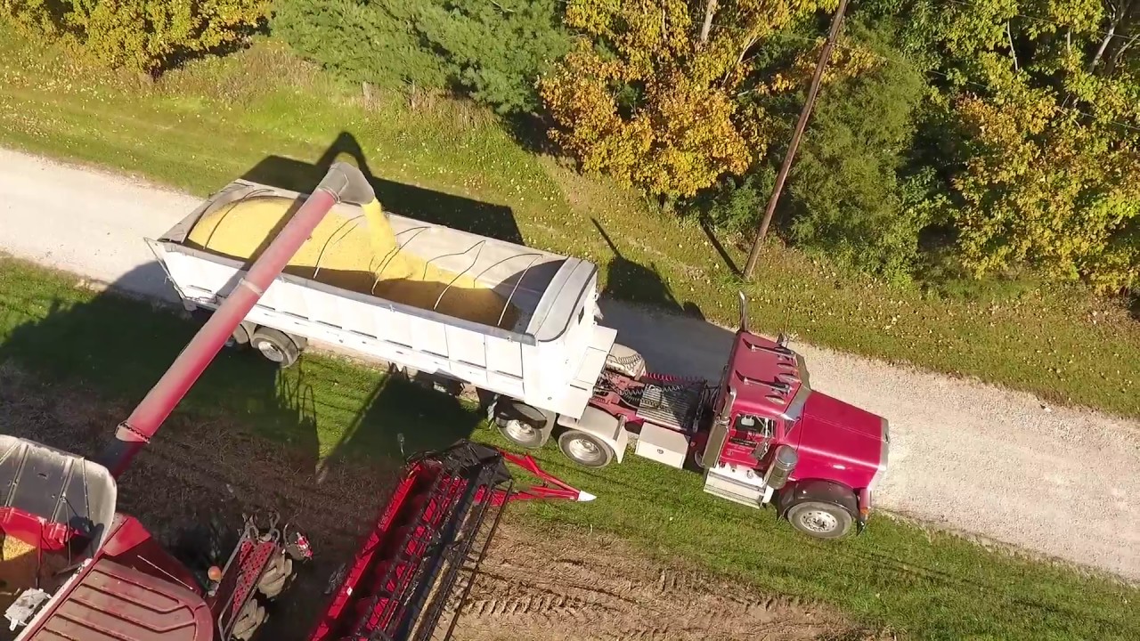 Walz Real-Time Yield Load Scanner — Watch How It Works