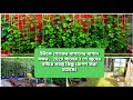 Passionate gardener uk vlogger  grow your own eat your own  uk shokher bagan live update 36 2020