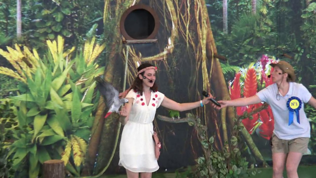 ZOOMARINE / LA FORESTA DEI PAPPAGALLI