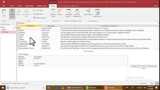 MS Access Data type part 2