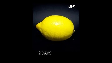 Rotting Lemon #Shorts