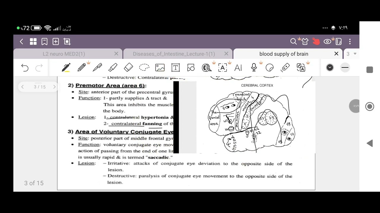 Neurology: Blood supply of the brain - YouTube
