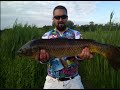 Ловля карпа. Белые камни часть 2 сазановая ) / carp fishing