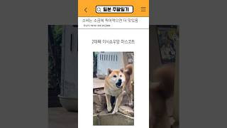 멍뭉이가 격하게 반겨주는 일본 시골 소바 맛집 #도쿄근교여행 #일본소도시여행 #일본현지인추천
