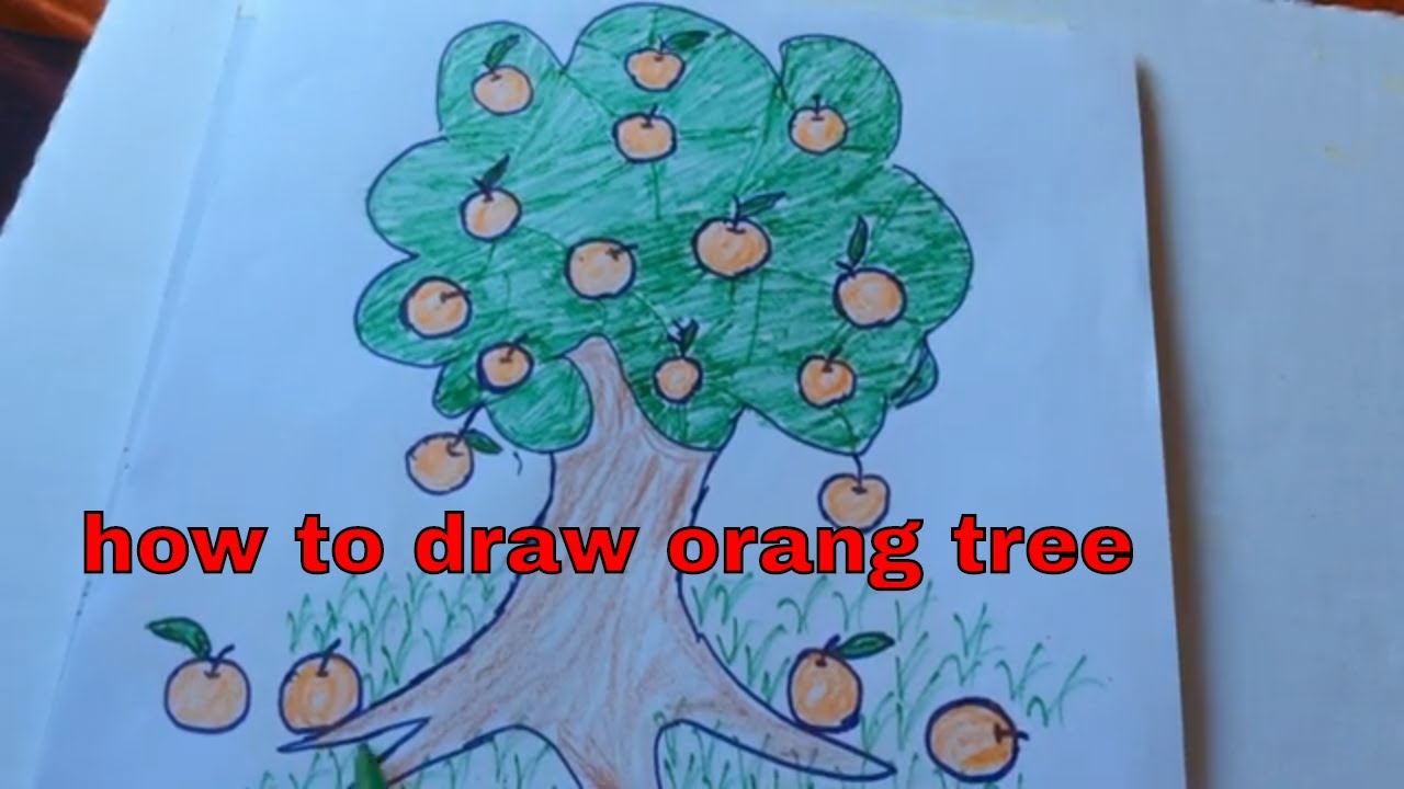 Orange tree with blank label on white background Vector Image