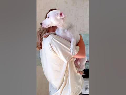 ВПЕРВЫЕ живу ОДНА😬Какого это? #кастом #кастомизация #кастомодежды - YouTube