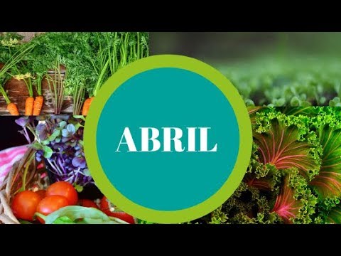 Vídeo: Coisas Importantes No Jardim Em Abril