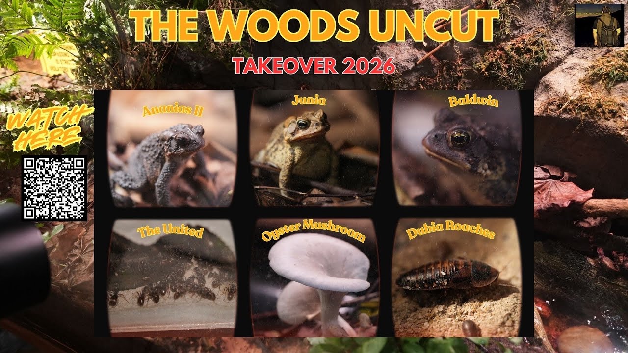 The Woods Uncut Season 2