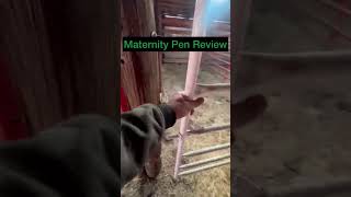 Real Tuff Maternity Pen