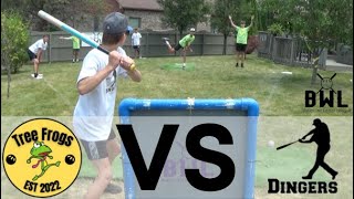 Tree Frogs VS Dingers | 2023 BWL Wiffleball